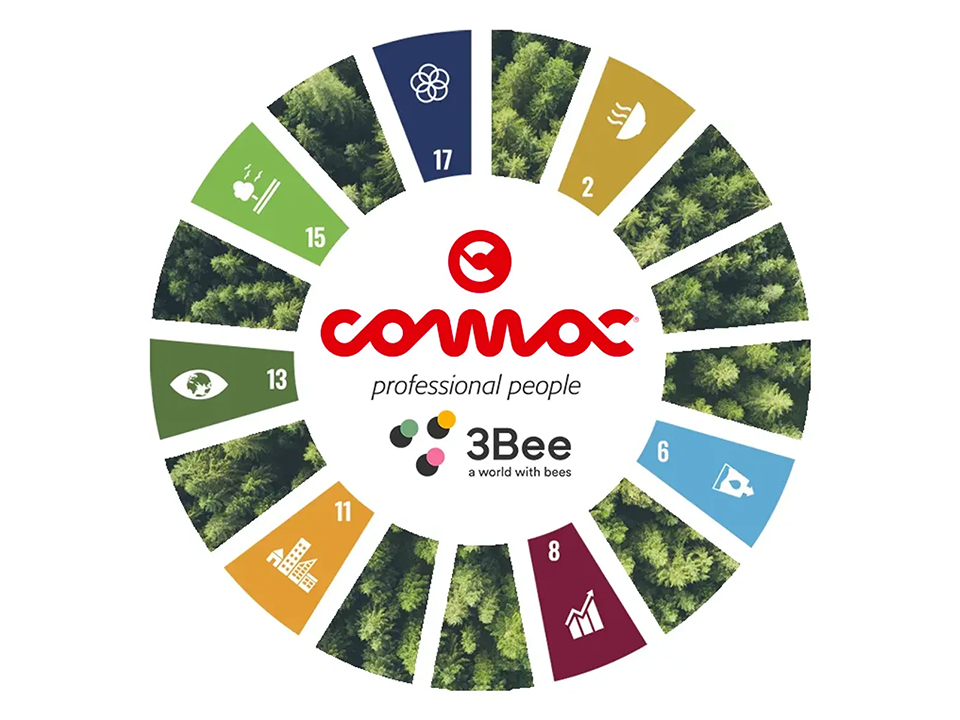 Obiettivi SDGs toccati dall'Oasi