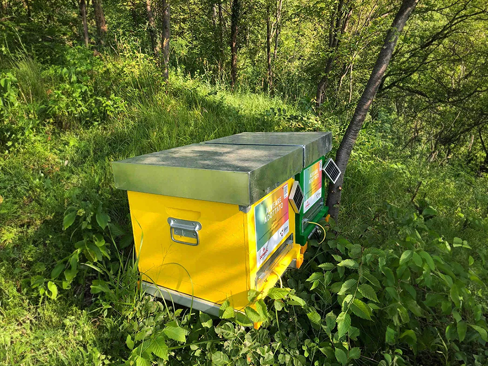 Le arnie tecnologiche posizionate nell'Oasi della Biodiversità di Comac