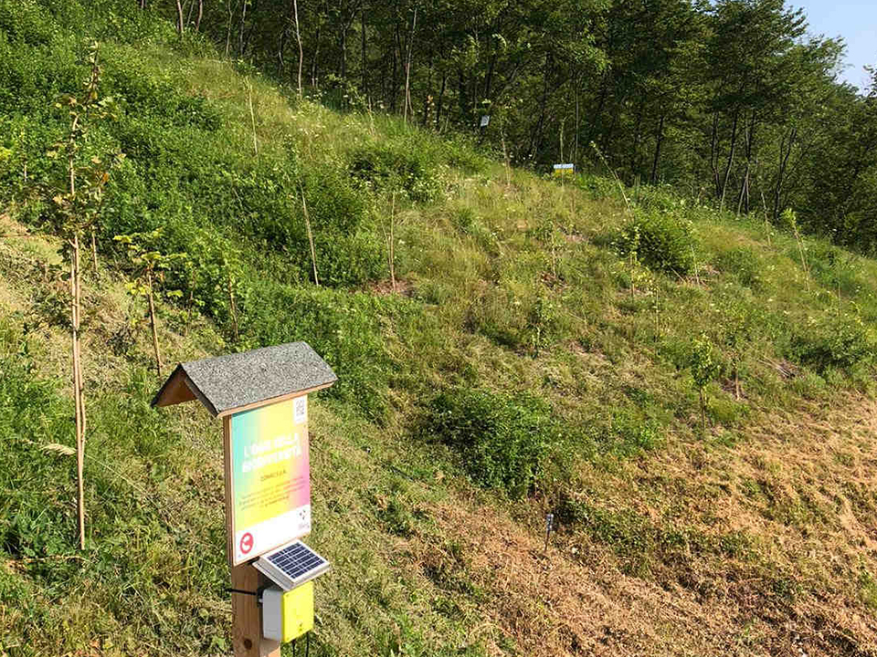 Monitoraggio dell'Oasi della Biodiversità di Comac con le tecnplogie 3Bee